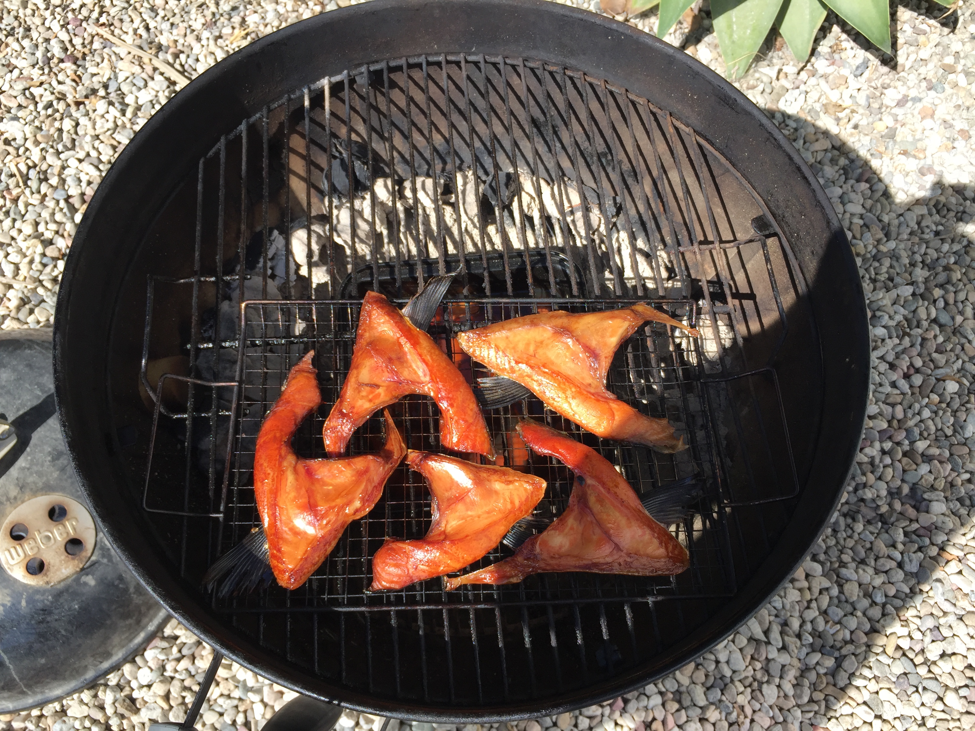 Salmon Collars on the grill 2018